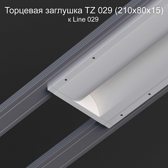 Торцевая заглушка TZ 029 к Line 029