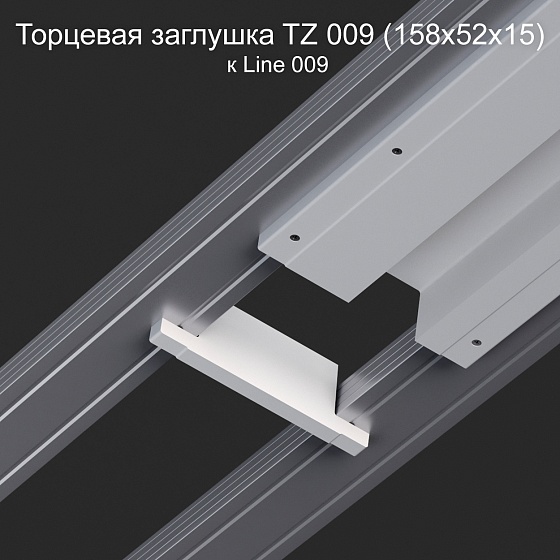 Торцевая заглушка TZ 009 к Line 009