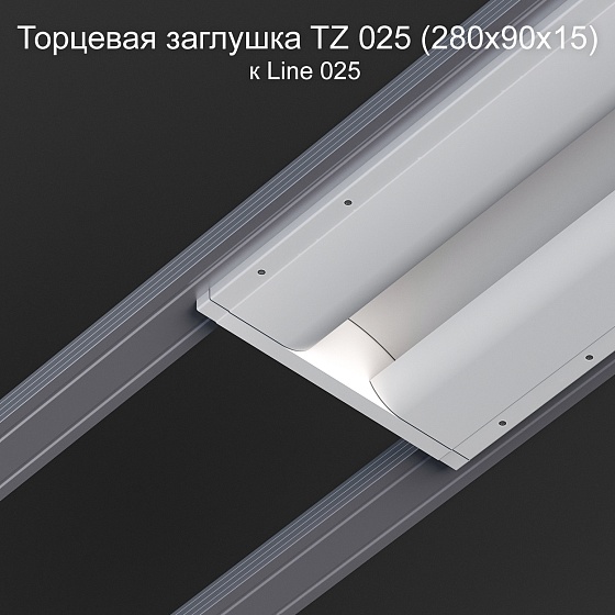 Торцевая заглушка TZ 025 к Line 025