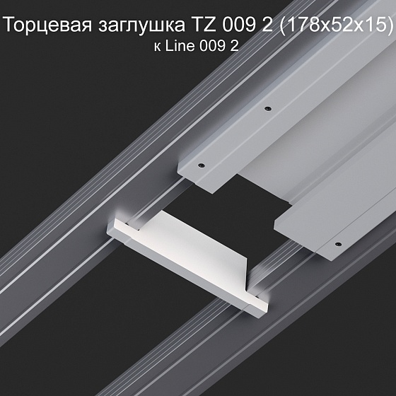 Торцевая заглушка TZ 009 2 к Line 009 2