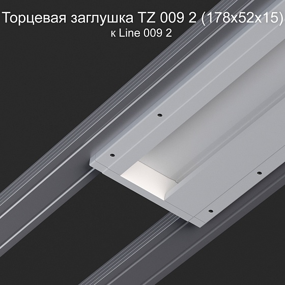 Торцевая заглушка TZ 009 2 к Line 009 2