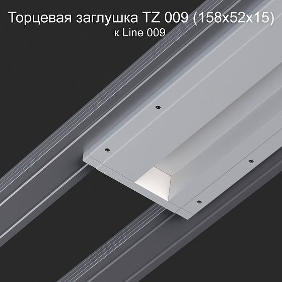 Торцевая заглушка TZ 009 к Line 009